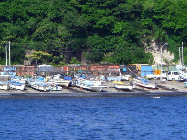 CIMG0567
