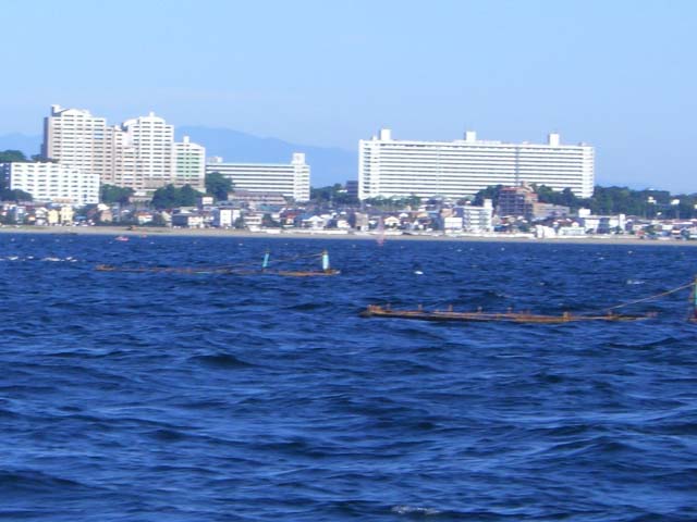 CIMG0569